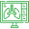 RIS
